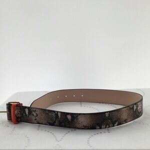 H&M  faux python Snakeskin Orange gold buckle Belt